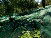 NextGen ScrollGallery thumbnail